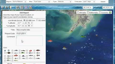 RipCharts Adding Fishing Report Tutorial