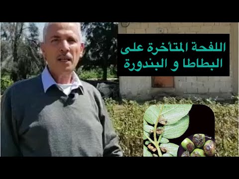 فيديو: صيغة صافي الربح - الحساب