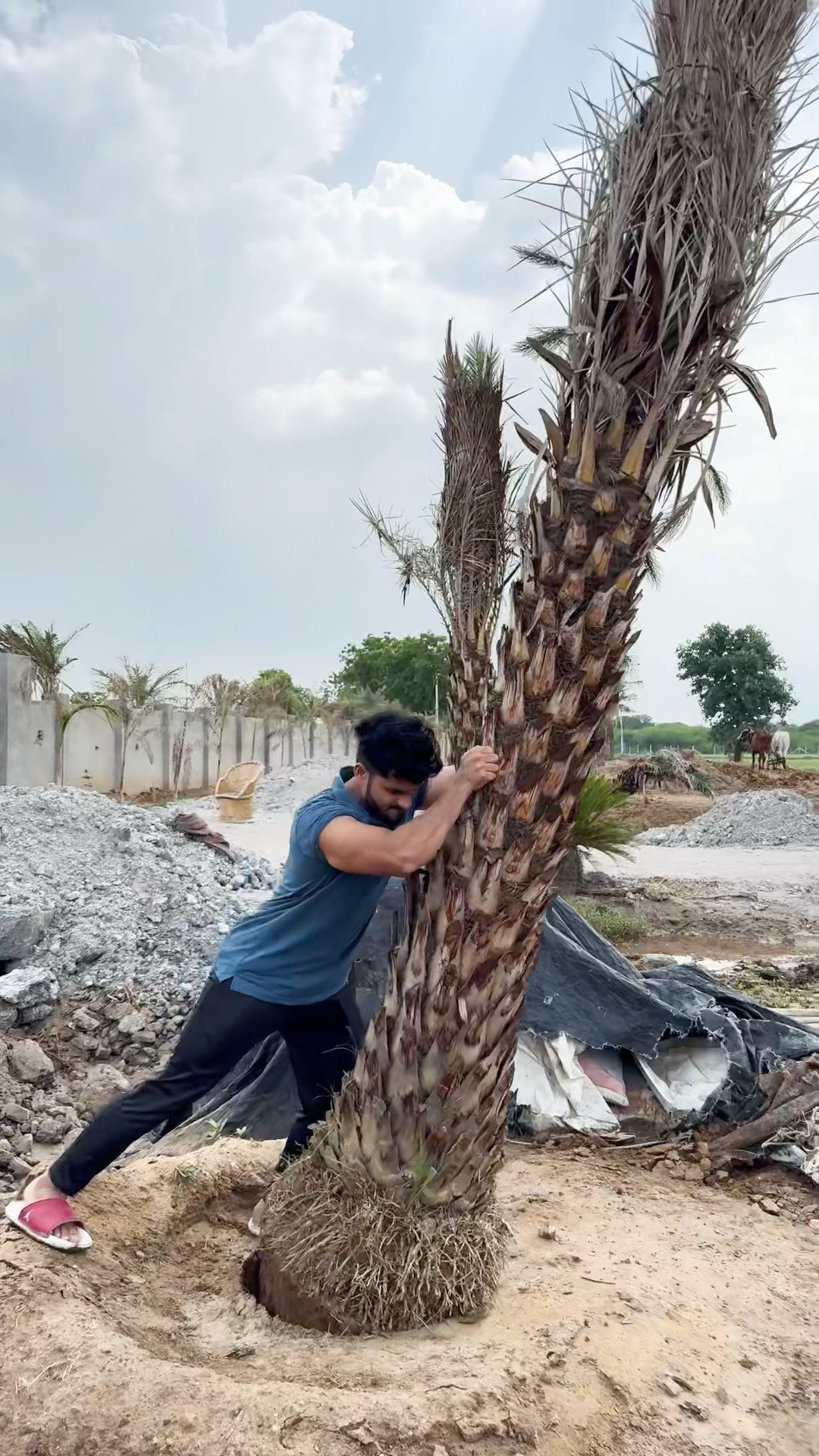 Baught jald complete hoga pura farmhouse #pawansahu #motivation #fitnessmotivation #funny #love