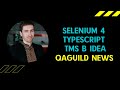 QAGuild news #3: Selenium в AWS/TypeScript/TMS в Idea/Лычки тестировщиков