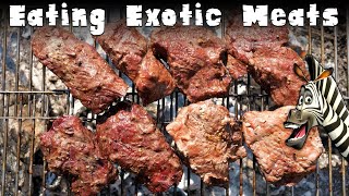 Eating Exotic Meats  Zebra, Kangaroo, Camel & Llama
