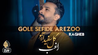 Ragheb - Gole Sefide Arezoo | OFFICIAL TRACK راغب - گل سفید آرزو