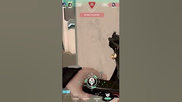 Every Sage Main in Ranked 🤣 #shorts #valorant #sage