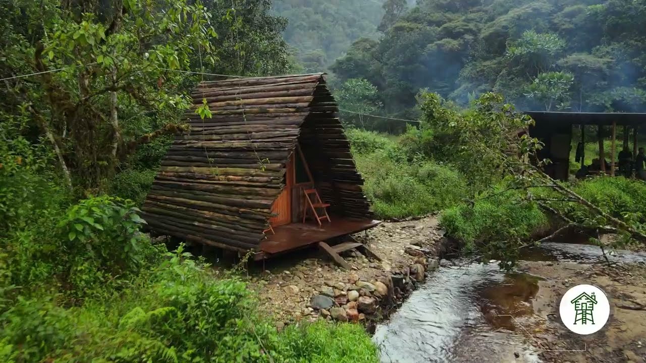 Nyungwe Forest Travel Guide for Nature Lovers | Rwanda’s Hidden Gem