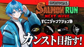 【すじこ初ノーミス達成！】失敗で終了！すじこノーミス絶対達成するぞ！【スプラトゥーン3/サーモンランNEXTWAVE/あるれるろ】