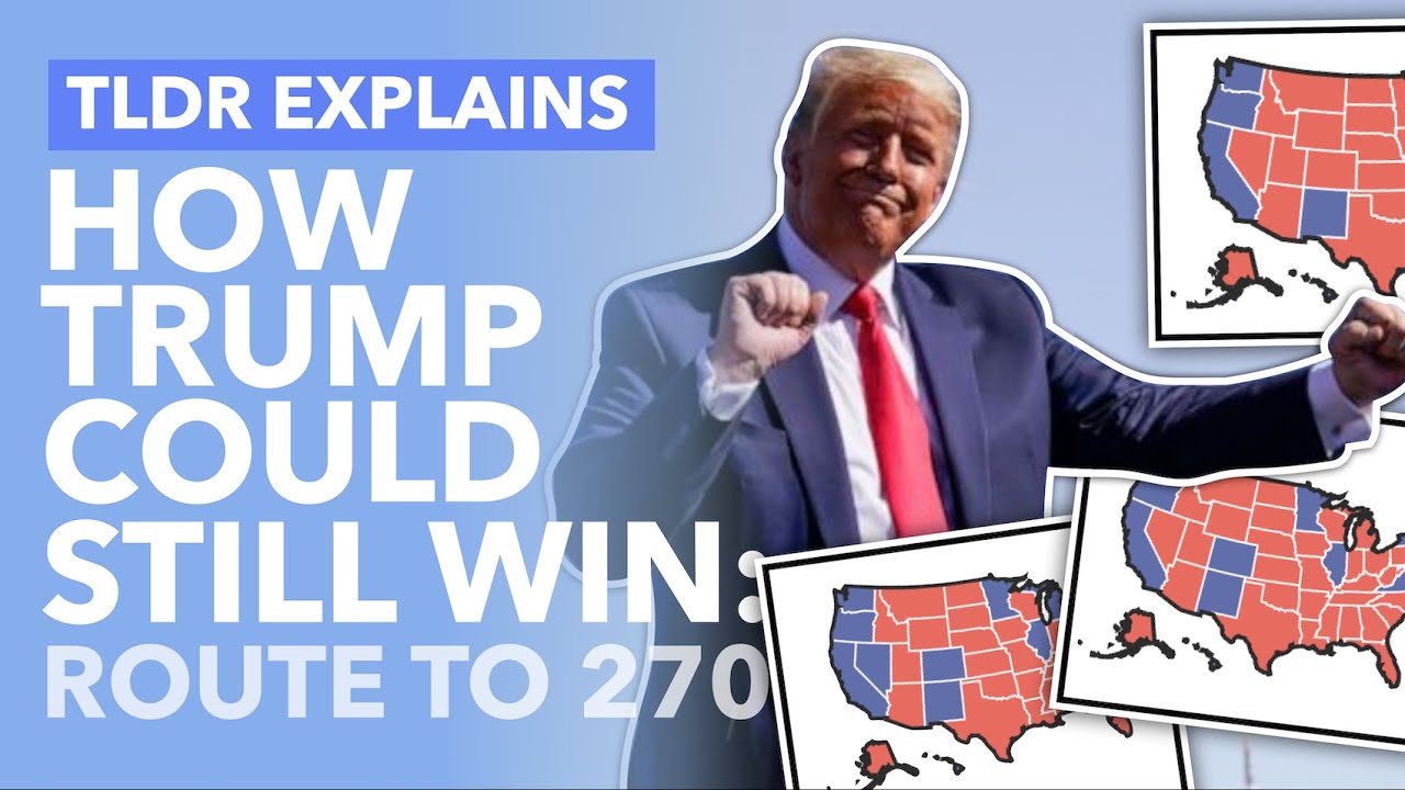 How Trump Can Still Reach 270: Trump's Path to Re-Election Explained - TLDR News
