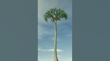 lepidodendron is the dangerousness tree