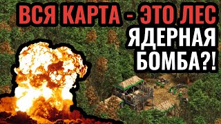 видео: ЯДЕРНЫЙ БАБАХ (не шутка) в Age of Empires 2 | Вся карта - это ЛЕС с лучшими игроками. Forest Nothing картинка: ЯДЕРНЫЙ БАБАХ (не шутка) в Age of Empires 2 | Вся карта - это ЛЕС с лучшими игроками. Forest Nothing