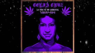 La Vida es un Carnaval - 1BR4iN (techouse Remix 2k22) #techhouse #lavidaesuncarnaval #house Resimi