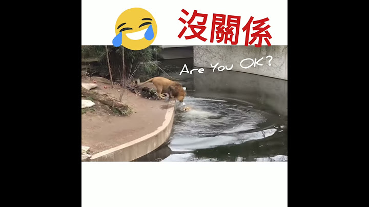 可以跌倒，但是一定要......！