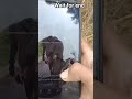 amazing magic' tricks ✨⭐#viral #youtube #shortsviral