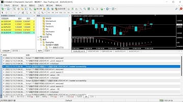 7.7 函数的作用域-MT4(EA)零基础量化交易教程(MT4 EA Tutorial)