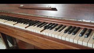 Sicilian Tarantella played on a 1919 a Steinway Themodest player piano