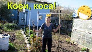 Дачный "покос" и весёлый турник. Дачный "покос" и весёлый турник.
