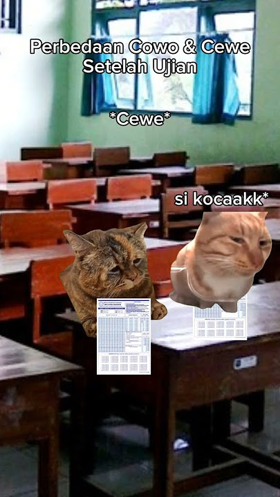 cwok yng pnting naik 😂😂 #ariaji_2 #cat #kucinglucu #kucing #funny #rils #lucu #memes #kucinggemoy