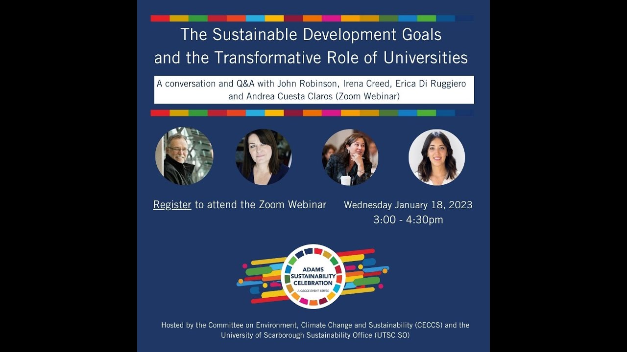 The Sustainable Development Goals and the Transformative Role of ...