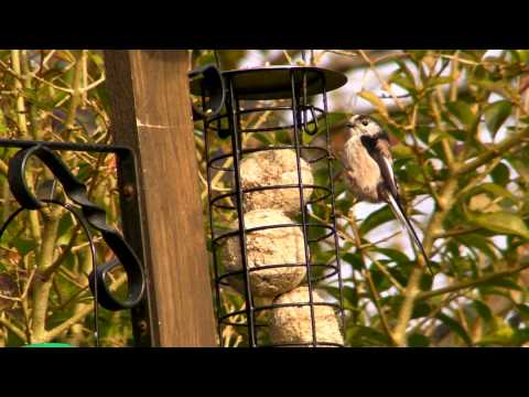 Yanina Bugrovaning yalangoch jinsiy aloqasi