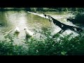 Experience Pure Calmness with Water Sounds and Geese