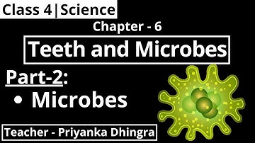 Class 4 | Science | Chapter - 6 : Teeth and Microbes (Part-2)