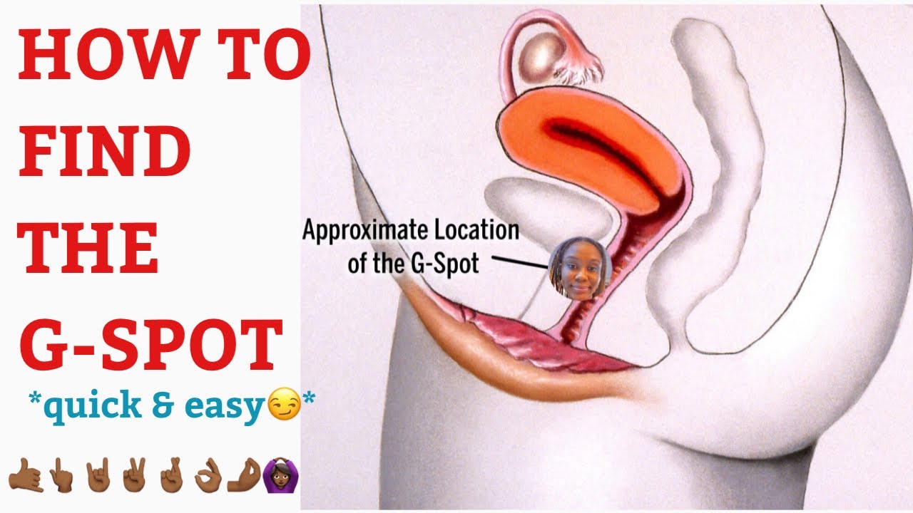 HOW TO FIND THE G SPOT FAST: *quick and easy* D&N Medical Series - YouTube