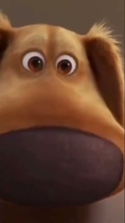 Hoh anak anak anjing