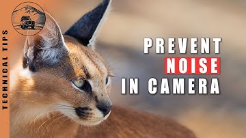 🎞 REDUCE NOISE IN CAMERA AT CAPTURE 📗 IN DEPTH