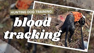 Blood Track Training No Blood Tracking In The Rain