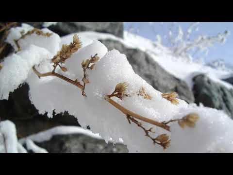 Fais Du Feu Dans La Cheminée
