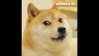 Who let the DOGE out!!!