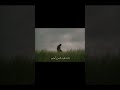 الا ايها الموت الذي ليس تاركي الشيخ احمد الوائلي شاشه سوداء القرآن   قصائد حسينيه