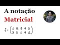 Grupos de Permutações - A notação matricial