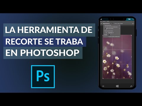 ¿Qué puedo hacer cuando la herramienta de recorte de PHOTOSHOP se traba?