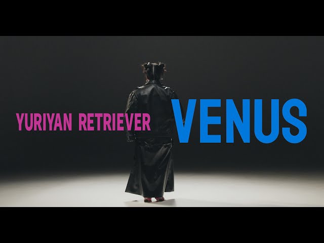 VenusNEW!YURIYAN RETRIEVER