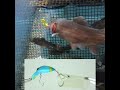 丸吞みとUターンをホース理論