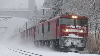 青い森鉄道 Eh500形 3051レ 目時三戸 2025年12月14日