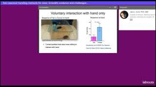 Download lagu Non aversive handling methods for mice Scientific evidence and challenges for implementation