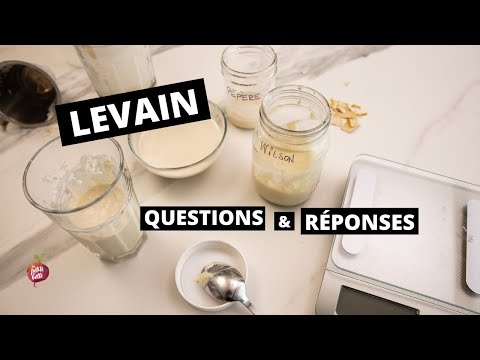 Vidéo: Est-ce que le démarreur au levain doit être bien couvert ?