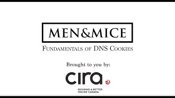 Part 2: fundamentals of DNS cookies