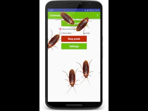 আপনার মোবাইলের ভিতরে তেলাপোকা হাটে দেখে সবাই অবাক Cockroach in screen