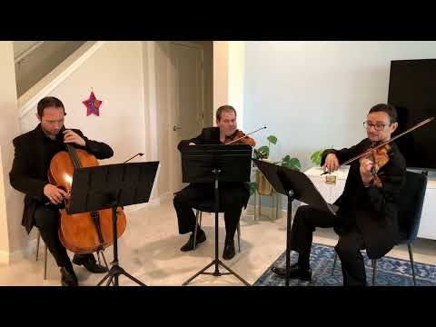 Sunset Strings' string trio performs Lover by Taylor Swift