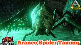 Ark Mobile มือถือ EP85 จับแมงมุมลายตัวนั้น[Araneo Spider Taming]