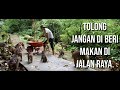 TOLONG jangan beri mareka makan di jalan raya.