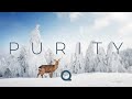 Purity winter ambient mix   1 hour of music for concentration