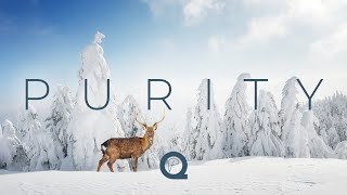 Purity Winter Ambient Mix ❄️ - 1 Hour of Music for Concentration