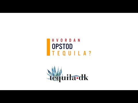 Video: Opstod røresteg?