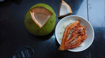 Mukbang Cơm Nguội Nước Dừa Ăn Kèm Khô Cá Lóc Nướng