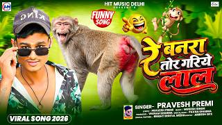 रे बनरा तोर गरिये लाल | Pravesh Premi | Re banra Tor Gariye Lal | Bhojpuri Funny Song 2026 @Cartoon 
