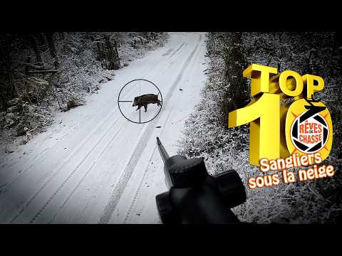 Top 10 Hunting Dreams #38 - December 2025 - Wild Boars in the Snow - Top 20
