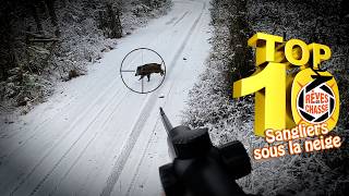 Top 10 Rêves De Chasse n°38 - Décembre 2025 -  Sangliers sous la neige - Top 20