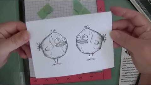 Bird Crazy mirror image card how-to